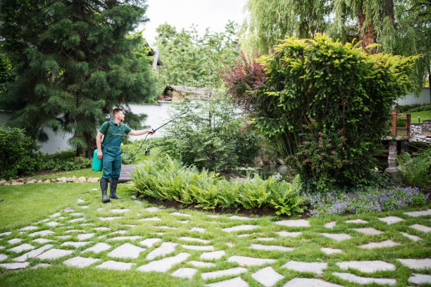 Best Best Pest Control Companies  in St Anthony, MN