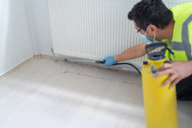Best Residential Pest Control  in St Anthony, MN