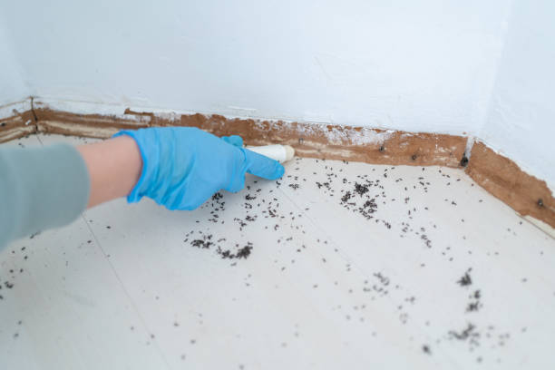 Best Pest Inspection Near Me  in St Anthony, MN