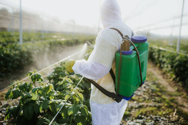 Best Flea Control Services  in St Anthony, MN